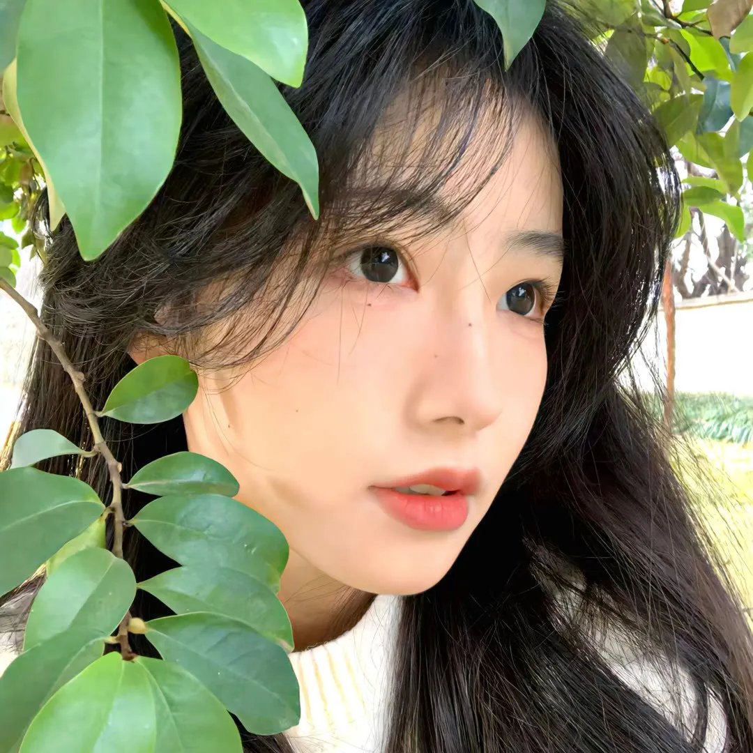 栩栩如昇